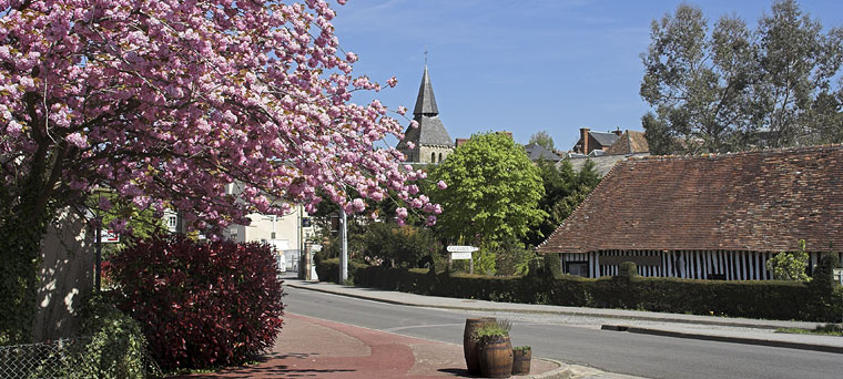 Cambremer - Normandie - rue des Tilleuls